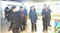 省市人大代表调研组走进华兴
