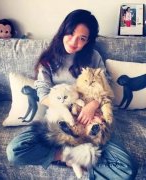 全世界最贵的猫都在这了！大多数人一辈子都没