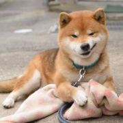 相信你也害怕遇到这几种人吧？