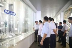 中国农科院饲料研究所所长戴小枫莅临华兴调研