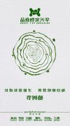 每日吸收营养，才能茁壮成长。