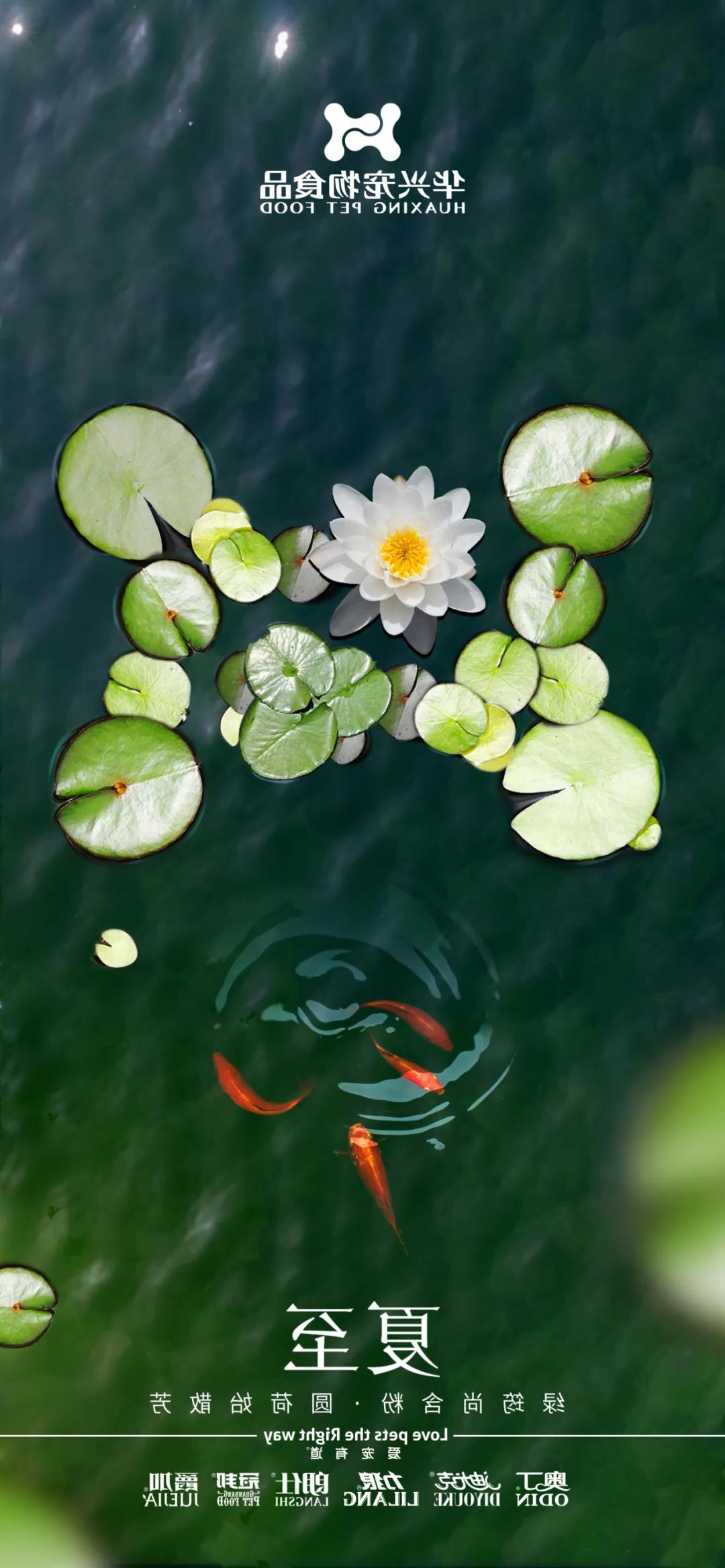夏至
