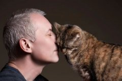猫咪进入老年期后要这样照顾！