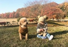 为什么有些孩子会出现想要＂养宠物＂的欲望