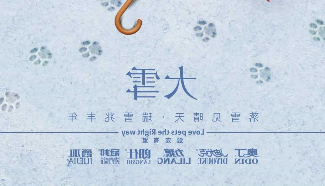 大雪丨雪落知寒意 久伴见初心！