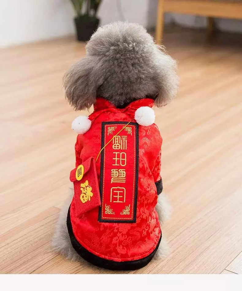 华兴宠物
