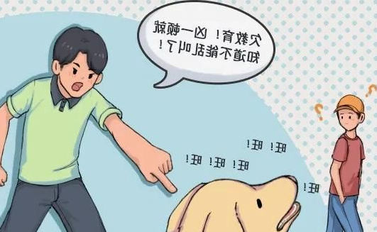 华兴宠物