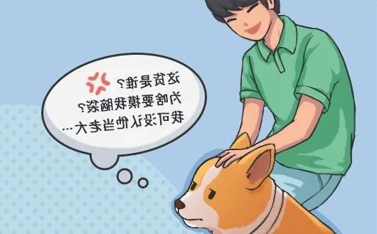 华兴宠物