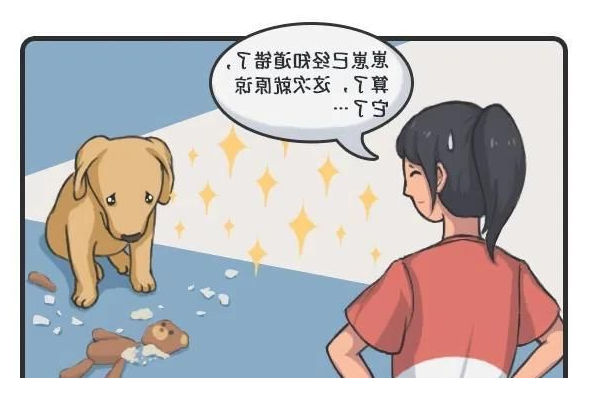 华兴宠物