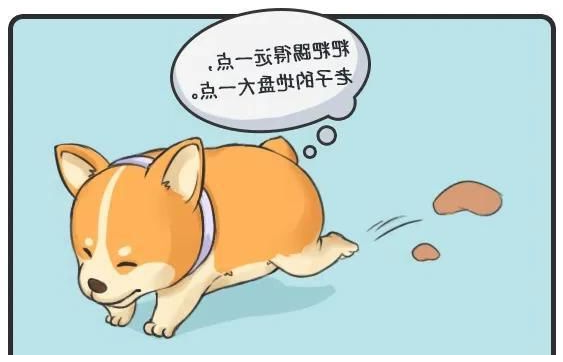 华兴宠物