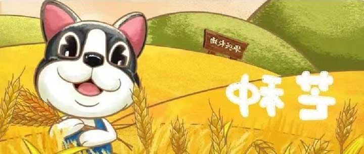 芒种 | 有芒之种 忙有所得