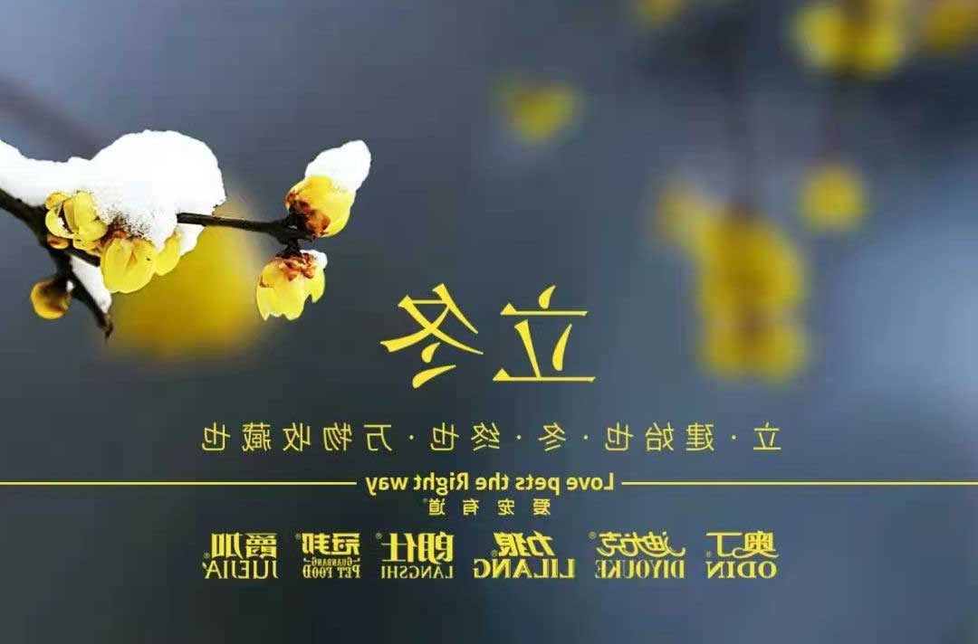 立冬丨冬寒初始，情暖愈浓