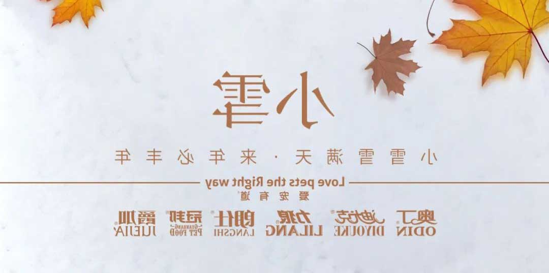 小雪丨天地初寒，岁月安暖