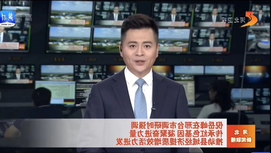 华兴宠物