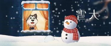 大雪丨有宠相伴 冬日不寒