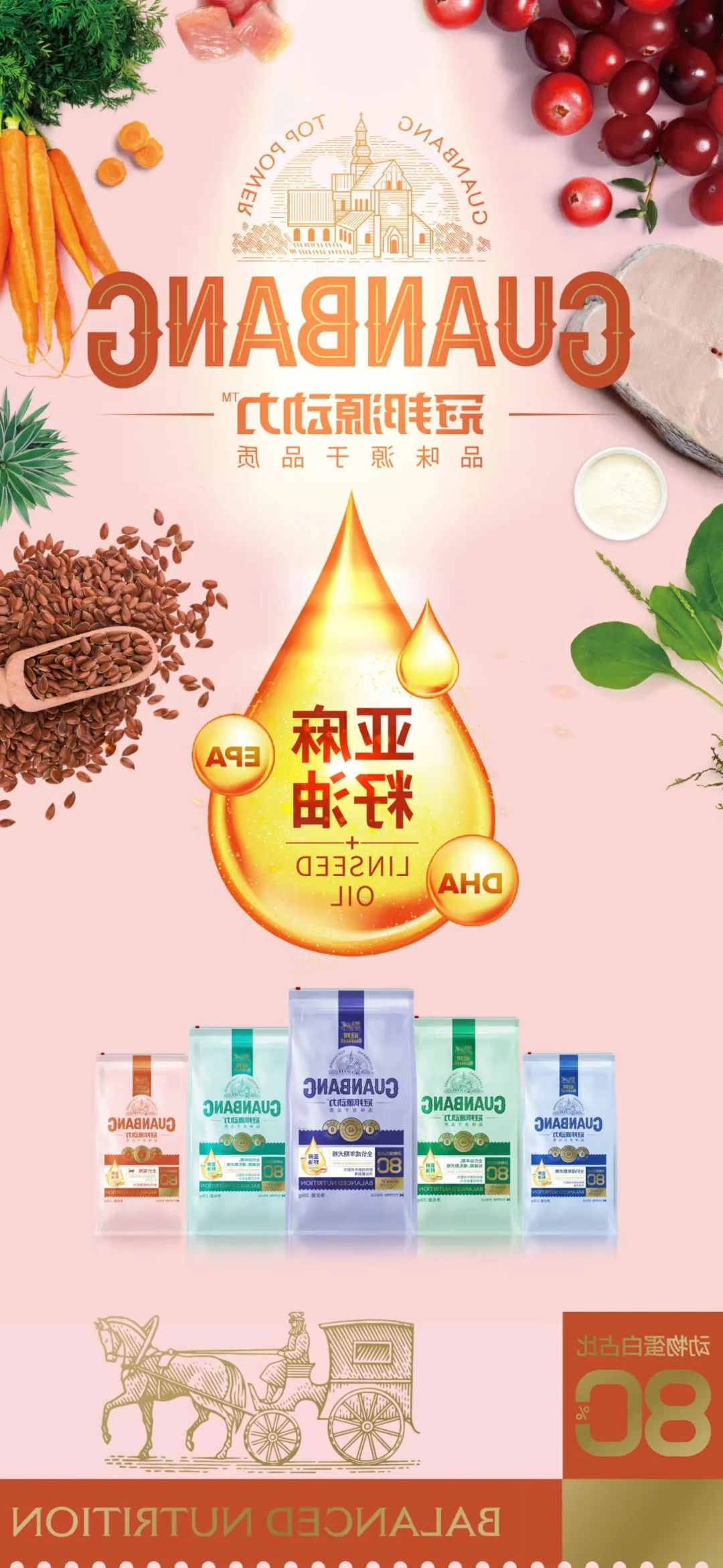 华兴宠物