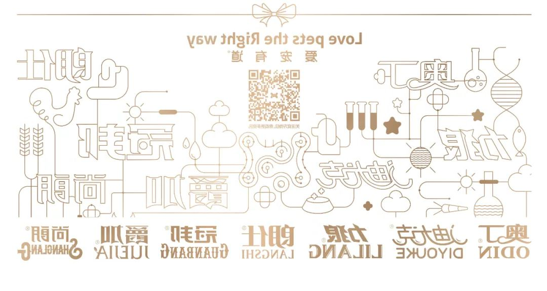 华兴宠物