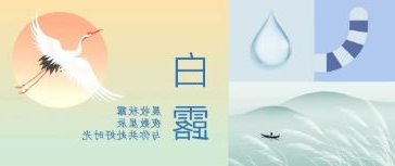 华兴宠物
