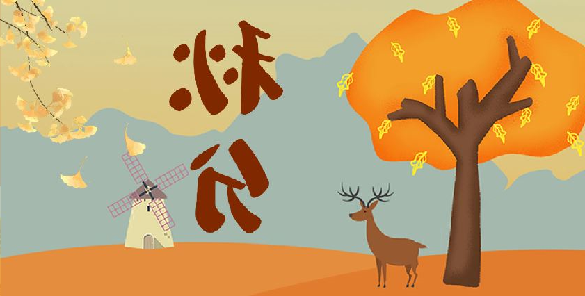 华兴宠物