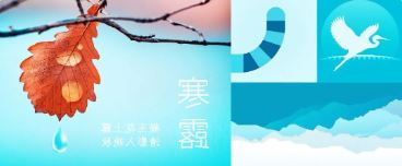 华兴宠物