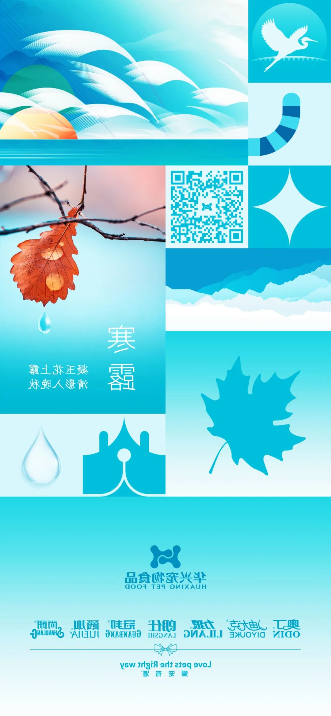华兴宠物