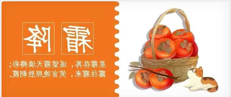 华兴宠物