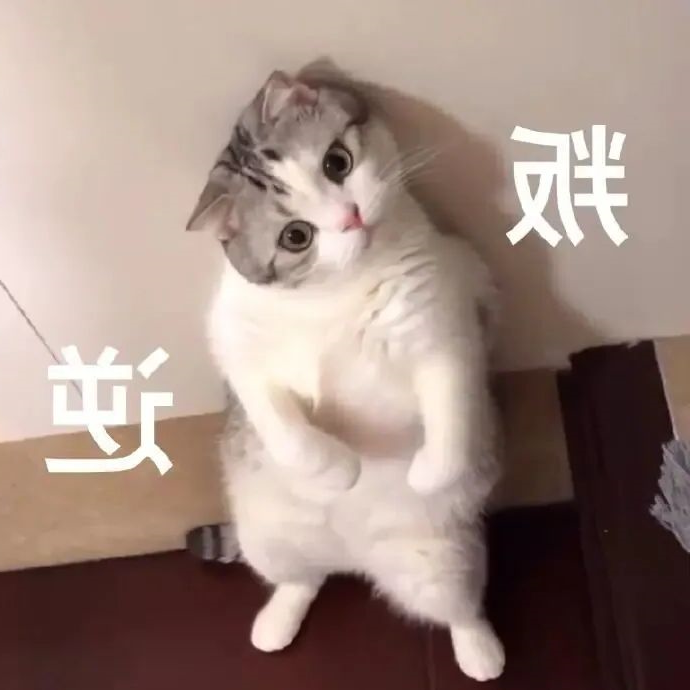 华兴宠物