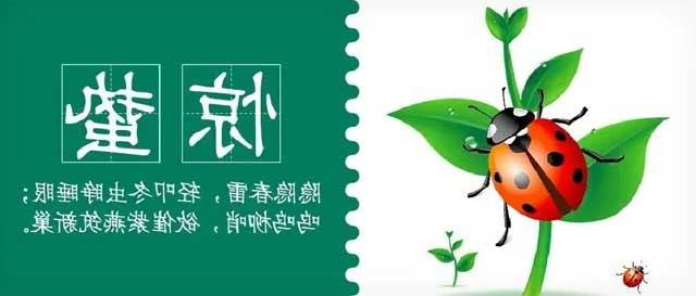 华兴宠物