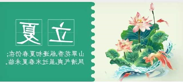 华兴宠物