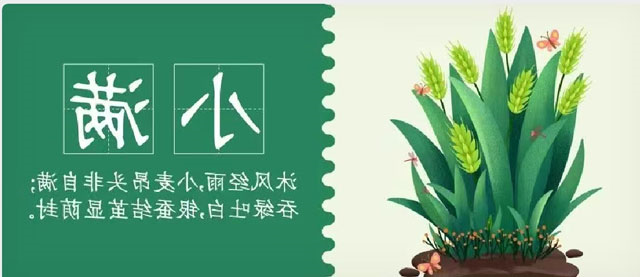 华兴宠物