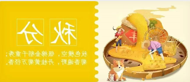 华兴宠物
